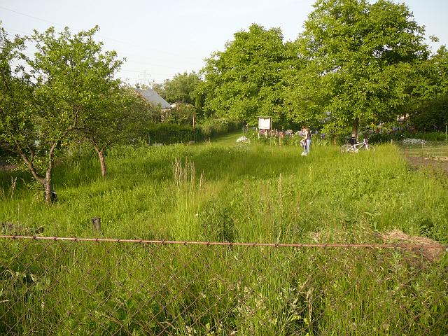 P1060020.JPG