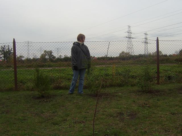 STA60085.JPG