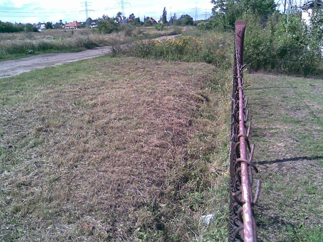 Zdjęcie015.jpg