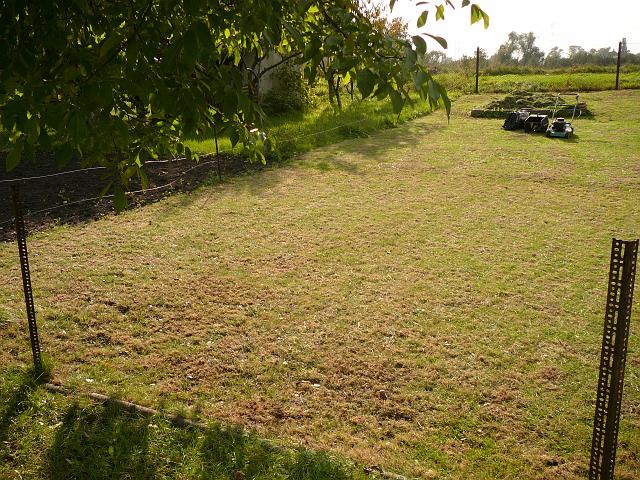 P1080529.JPG
