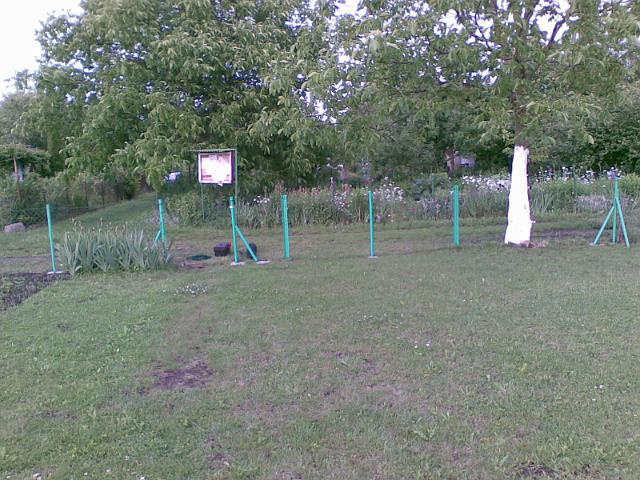 20090604(001).jpg
