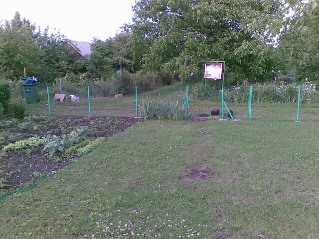 20090604(002).jpg