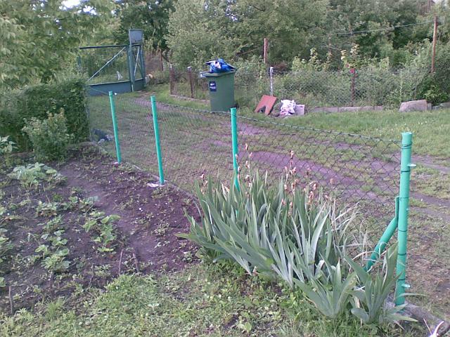 20090604(003).jpg