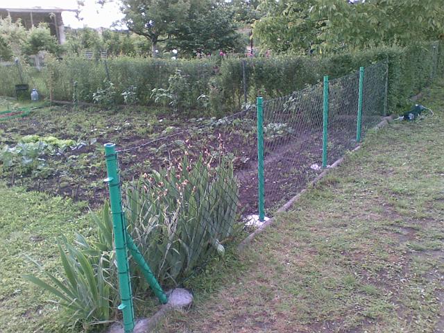 20090604(004).jpg