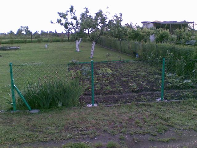 20090604(005).jpg