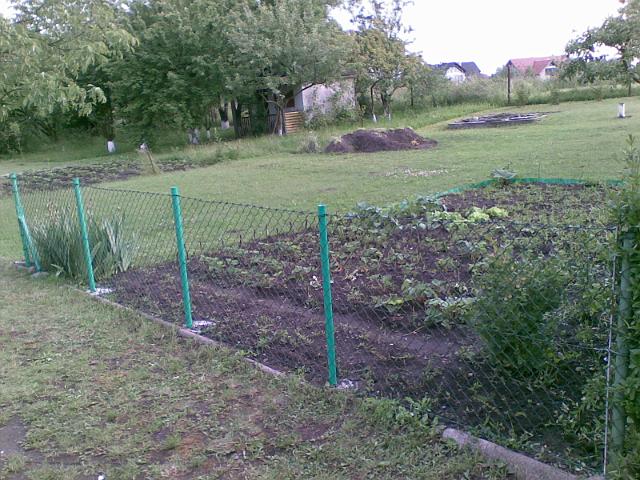 20090604(006).jpg