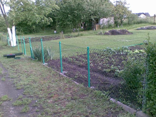 20090604(007).jpg