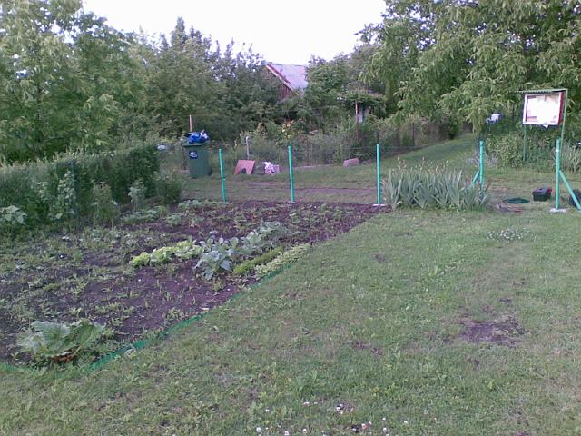 20090604.jpg