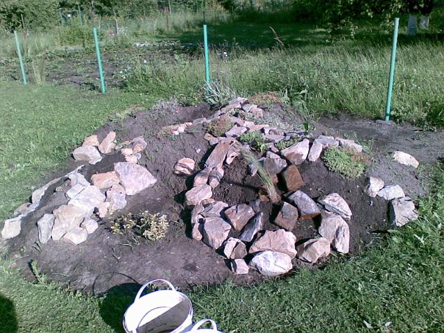 20090612.jpg