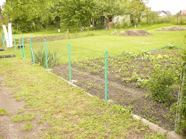 P1100245.JPG