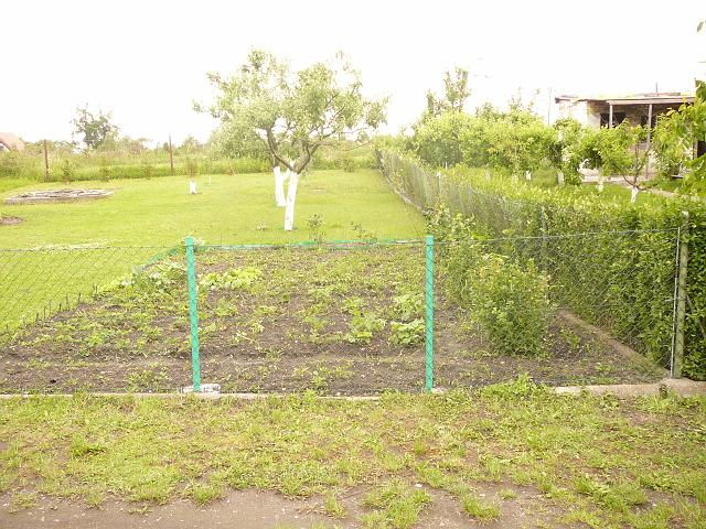 P1100246.JPG