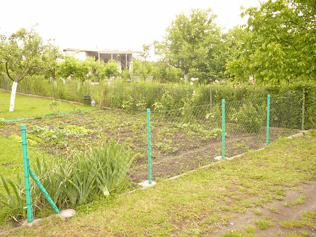 P1100248.JPG