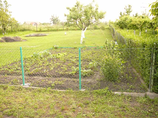 P1100259.JPG