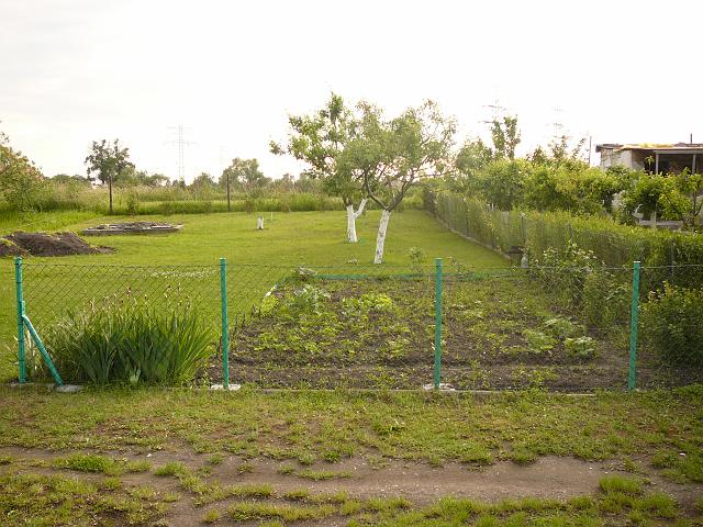 P1100261.JPG