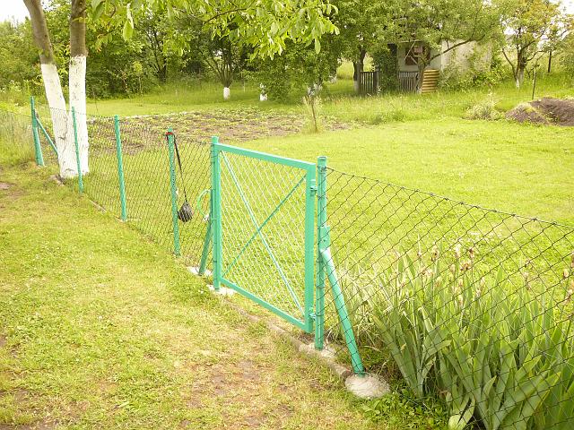 P1100285.JPG
