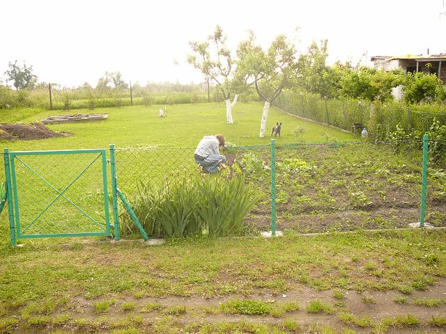 P1100287.JPG