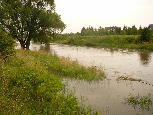 P1100335.JPG