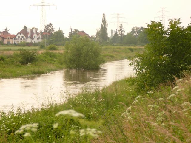 P1100337.JPG