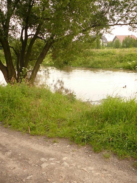 P1100342.JPG