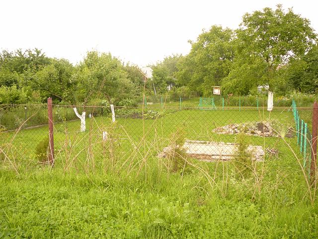 P1100344.JPG