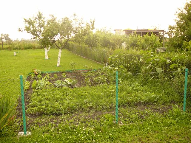 P1100347.JPG
