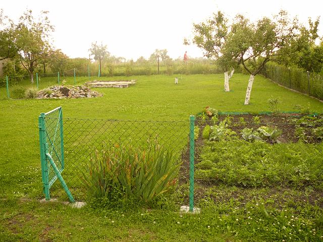 P1100348.JPG