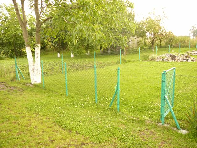 P1100350.JPG