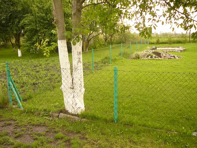 P1100351.JPG