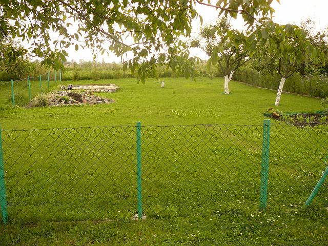 P1100352.JPG