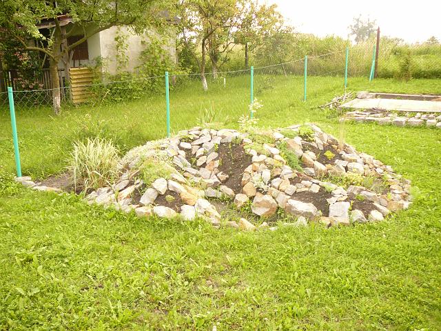 P1100355.JPG