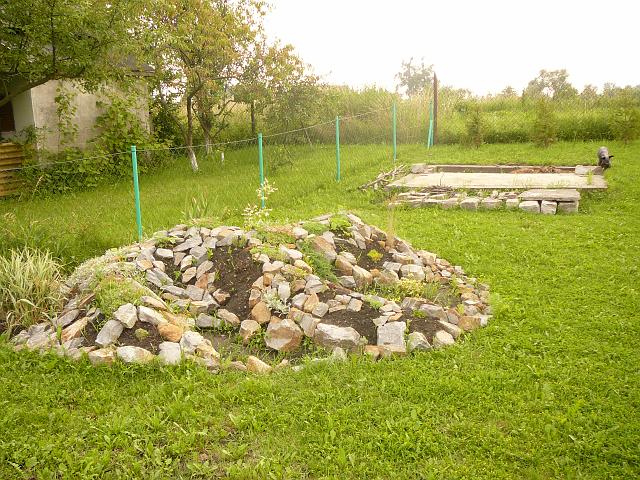 P1100356.JPG
