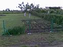 20090604(005)