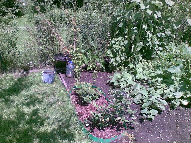 20090716(002).jpg