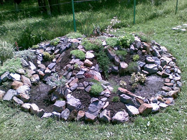 20090716(012).jpg
