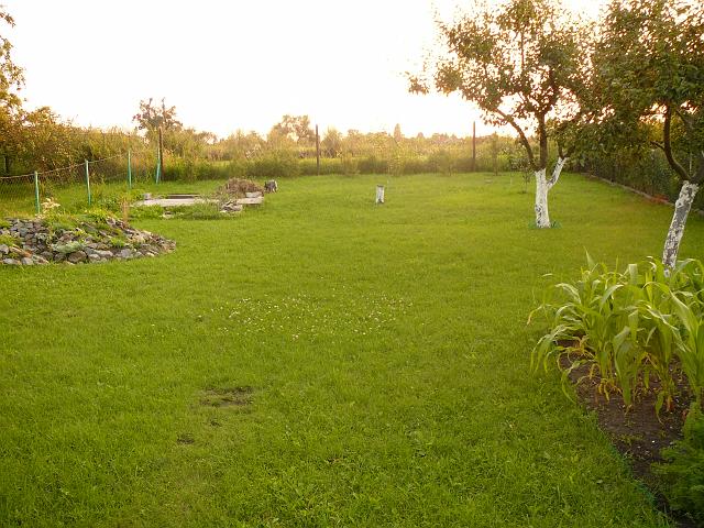 P1110175.JPG