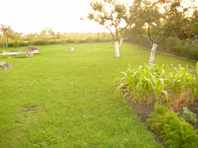 P1110176.JPG
