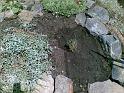 20090716(009)