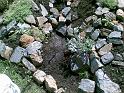 20090716(011)