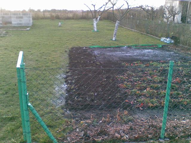 20091128(001).jpg