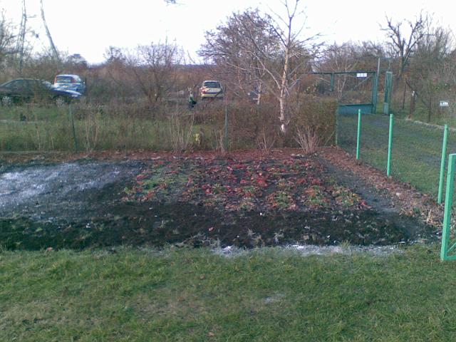 20091128(003).jpg