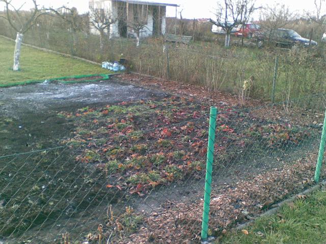 20091128.jpg