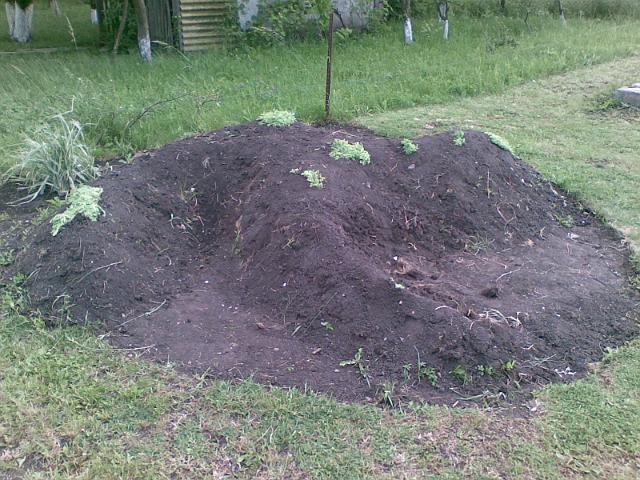 20090527(017).jpg