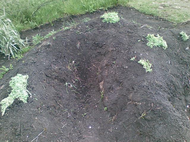 20090527(019).jpg