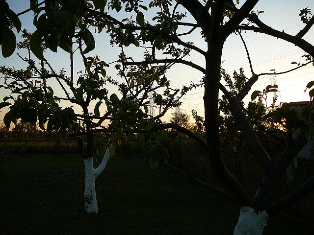 P1090888.JPG