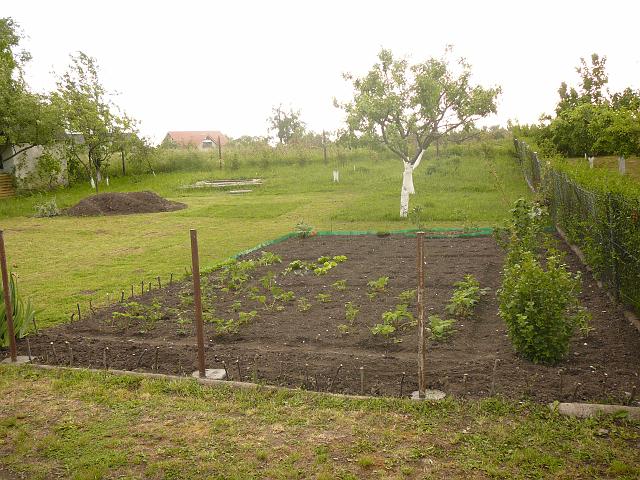 P1100093.JPG