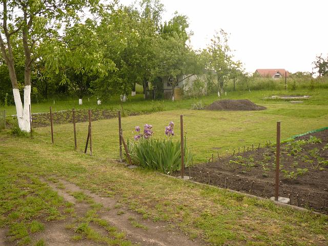 P1100094.JPG
