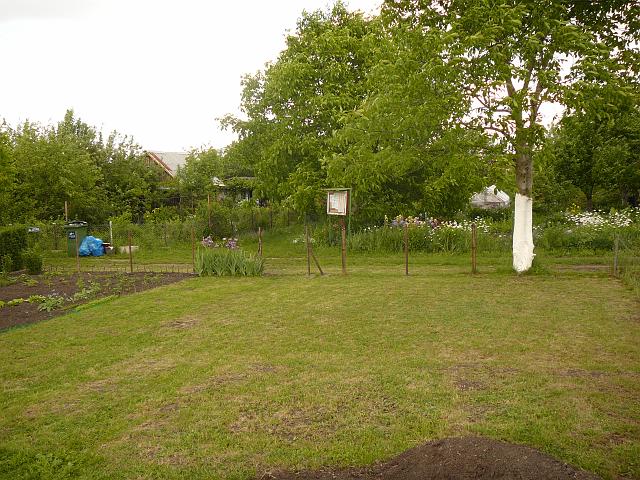 P1100095.JPG