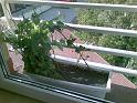 20090517(011)
