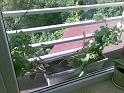 20090517(012)