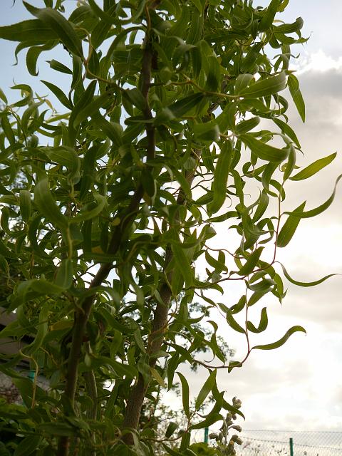 P1210697.JPG